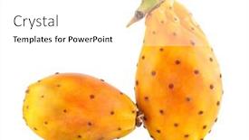  Presentation with cactus - Slides featuring fresh-cactus-fruit-prickly-pear background and a white colored foreground