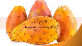  Presentation with pear - Audience pleasing slide set consisting of fresh-cactus-fruit-prickly-pear backdrop and a gold colored foreground