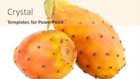  Presentation with pear - PPT layouts featuring fresh-cactus-fruit-prickly-pear background and a yellow colored foreground