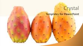  Presentation with pear - Amazing PPT layouts having fresh-cactus-fruit-prickly-pear backdrop and a blonde colored foreground