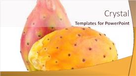  Presentation with pear - Slide set consisting of fresh-cactus-fruit-prickly-pear background and a lemonade colored foreground