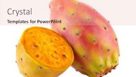  Presentation with pear - Colorful slide set enhanced with fresh-cactus-fruit-prickly-pear backdrop and a lemonade colored foreground