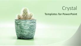  Presentation with light green - PPT layouts with fresh-cactus-in-a-ceramic background and a soft green colored foreground