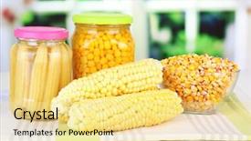  Presentation with corn - Slides consisting of fresh canned and dried corn on wooden table on bright background background and a blonde colored foreground