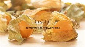  Presentation with gooseberry - PPT theme with fresh-cape-gooseberry-physalis-peruviana background and a yellow colored foreground