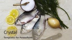  Presentation with live - PPT theme with fresh carp live fish lying background and a mint green colored foreground