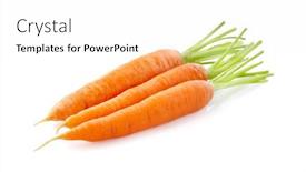  Presentation with carrots - PPT layouts enhanced with fresh-carrots-on-white-background background and a white colored foreground