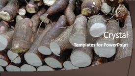  Presentation with cassava - Audience pleasing PPT theme consisting of fresh cassava with peel backdrop and a gray colored foreground
