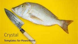  Presentation with fish - Theme enhanced with fresh-catch-emperor-fish-preparation background and a gold colored foreground