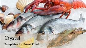  Presentation with seafood - Slides enhanced with fresh catch of fish background and a coral colored foreground