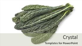  Presentation with tea leaves fresh green leaf - Colorful PPT theme enhanced with fresh cavolo nero leaves backdrop and a mint green colored foreground