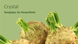  Presentation with green foliage - PPT theme with fresh celery roots with some foliage on a green background background and a mint green colored foreground