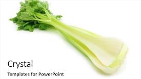  Presentation with fresh water splash green apple isolated white - Cool new PPT theme with fresh celery shot with wide backdrop and a white colored foreground