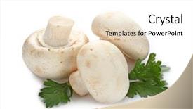  Presentation with champignon mushroom - Audience pleasing PPT layouts consisting of fresh champignon mushrooms on white backdrop and a  colored foreground