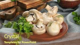  Presentation with oyster mushrooms fresh mushrooms - Slide set consisting of fresh champignon mushrooms on wooden background and a  colored foreground