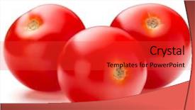  Presentation with tomato plant - Amazing PPT layouts having fresh cherry tomato isolated backdrop and a red colored foreground