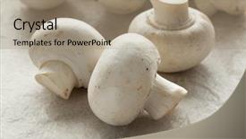  Presentation with button mushroom fresh mushroom - Colorful slide deck enhanced with fresh chestnut mushrooms close up backdrop and a coral colored foreground