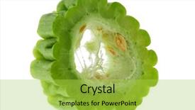  Presentation with bitter - PPT layouts having fresh chinese bitter gourd background and a yellow colored foreground