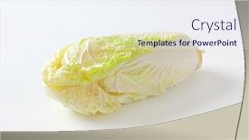  Presentation with cabbage - Beautiful slides featuring fresh-chinese-cabbage-whole-head backdrop and a sky blue colored foreground