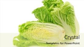  Presentation with cabbage - Amazing presentation having fresh chinese cabbage backdrop and a blonde colored foreground