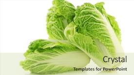  Presentation with cabbage - Presentation theme featuring fresh chinese cabbage background and a yellow colored foreground