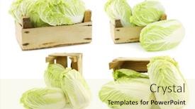  Presentation with cabbage - Slide deck having fresh-chinese-cabbage background and a blonde colored foreground