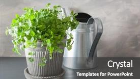  Presentation with herb - Slides having fresh cilantro herb in pot background and a dark gray colored foreground
