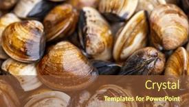  Presentation with clams - Presentation design featuring fresh-clams-in-an-abundance background and a tawny brown colored foreground