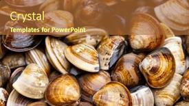  Presentation with clams - Slide set having fresh-clams-in-an-abundance background and a red colored foreground