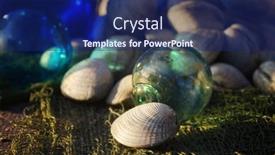  Presentation with clams - Slide set with fresh-clams-on-netting background and a navy blue colored foreground