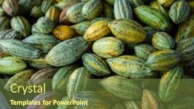  Presentation with cocoa pod - Slide deck consisting of fresh-cocoa-pod-harvest background and a tawny brown colored foreground