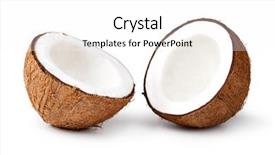  Presentation with coconut fruit - Slides consisting of fresh coconut isolated on white background and a white colored foreground
