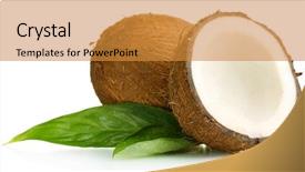  Presentation with coconut shell fresh whole - Colorful presentation theme enhanced with fresh coconut isolated on white backdrop and a gold colored foreground