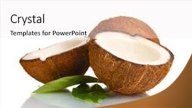  Presentation with coconut shell - Audience pleasing PPT theme consisting of fresh coconut isolated on white backdrop and a  colored foreground