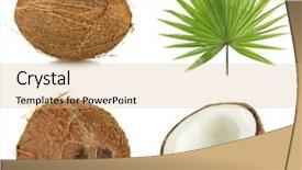  Presentation with green coconut - Slide set having fresh coconuts with palm leaf background and a coral colored foreground