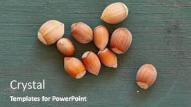  Presentation with hazelnuts - Slides consisting of fresh-collection-of-hazelnuts background and a gray colored foreground