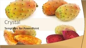  Presentation with cactus - Cool new presentation theme with fresh-colorful-cactus-fruits backdrop and a blonde colored foreground