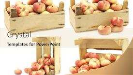  Presentation with flat - Cool new theme with fresh-colorful-flat-peaches-donut backdrop and a blonde colored foreground