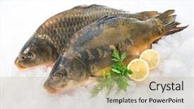  Presentation with lemon - Beautiful presentation theme featuring church people believe faith religious backdrop and a dark gray colored foreground