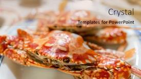  Presentation with crab - 