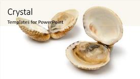  Presentation with venus - Cool new slide set with fresh cooked open warty venus backdrop and a lemonade colored foreground