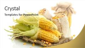  Presentation with corn - Colorful slides enhanced with fresh corn and bags backdrop and a white colored foreground