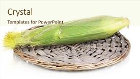  Presentation with corn cob - Audience pleasing presentation theme consisting of fresh corn cob on wicker mat isolated on white backdrop and a soft green colored foreground