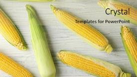  Presentation with corn cobs - Slides having fresh corn cobs on wooden background and a soft green colored foreground