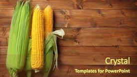  Presentation with corn cob - Beautiful presentation featuring fresh corn cobs on wooden backdrop and a tawny brown colored foreground