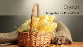  Presentation with corn - Beautiful presentation featuring fresh corn in basket on wooden table on grey background backdrop and a soft green colored foreground