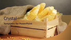  Presentation with corn - Slide set featuring together and holding big heart background and a tawny brown colored foreground