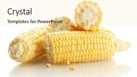  Presentation with corn cob - PPT theme with fresh corn isolated on white background and a blonde colored foreground
