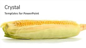  Presentation with fresh water splash green apple isolated white - Audience pleasing slide set consisting of fresh corn isolated on white backdrop and a white colored foreground
