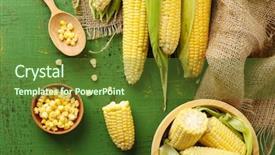  Presentation with corn cobs - Amazing PPT theme having fresh corn on cobs backdrop and a tawny brown colored foreground